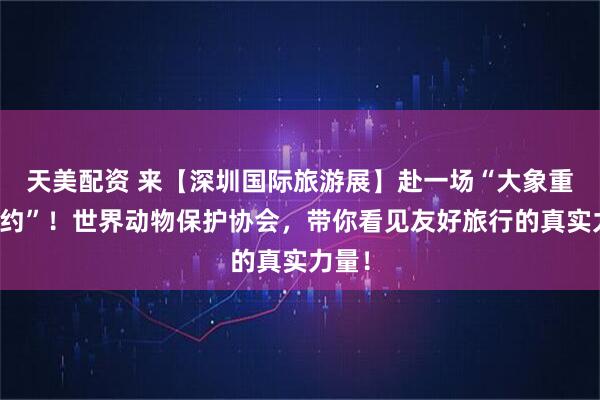 天美配资 来【深圳国际旅游展】赴一场“大象重生之约”！世界动物保护协会，带你看见友好旅行的真实力量！