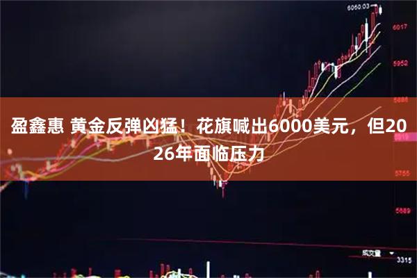 盈鑫惠 黄金反弹凶猛！花旗喊出6000美元，但2026年面临压力