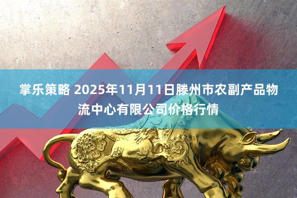 掌乐策略 2025年11月11日滕州市农副产品物流中心有限公司价格行情