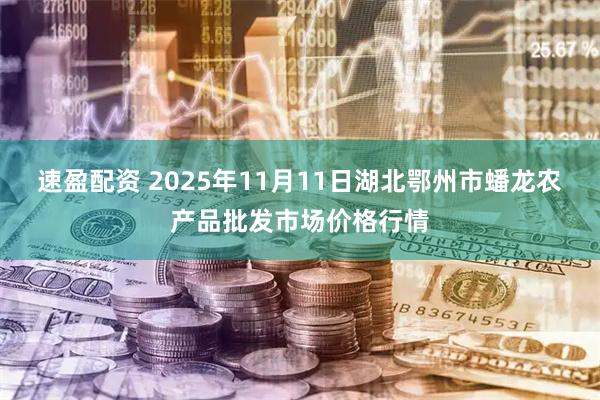 速盈配资 2025年11月11日湖北鄂州市蟠龙农产品批发市场价格行情