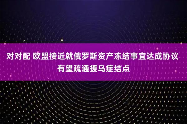 对对配 欧盟接近就俄罗斯资产冻结事宜达成协议 有望疏通援乌症结点