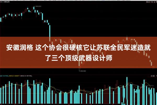 安徽润格 这个协会很硬核它让苏联全民军迷造就了三个顶级武器设计师