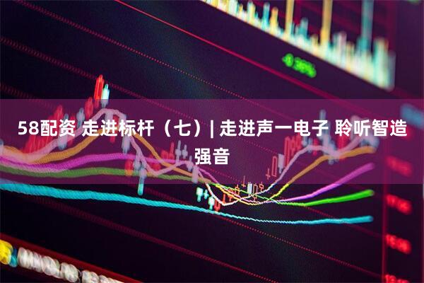 58配资 走进标杆（七）| 走进声一电子 聆听智造强音